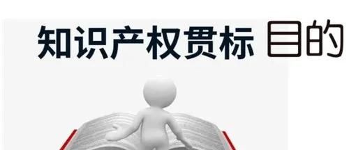 這邊看來！知識(shí)產(chǎn)權(quán)貫標(biāo)申請(qǐng)條件、流程、貫標(biāo)輔導(dǎo)周期一覽