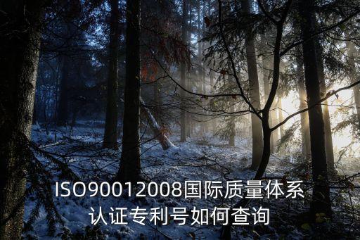 ISO90012008國際質量體系認證專利號如何查詢