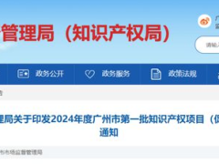 廣州啟動2024年度第一批知識產(chǎn)權(quán)項(xiàng)目（促進(jìn)類）申報(bào)，最高獎勵300萬！