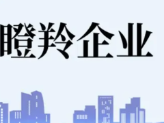 佛山瞪羚企業(yè)認(rèn)定條件、扶持政策最高補(bǔ)貼100萬(wàn)