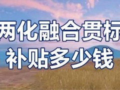 兩化融合貫標(biāo)補(bǔ)貼多少錢？?jī)苫诤县灅?biāo)補(bǔ)貼條件？